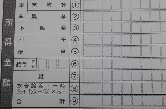 副業アフィリエイトの確定申告書の所得金額の拡大写真