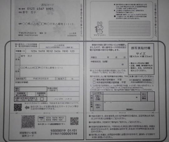 実際のマイナンバー通知カードの見本の写真