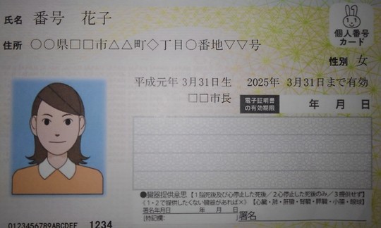 実際のマイナンバーカードの見本の写真