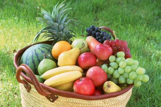 ふるさと納税の返礼品の写真